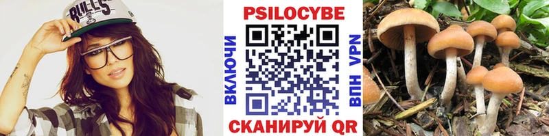 Псилоцибиновые грибы MAGIC MUSHROOMS  Алексин 